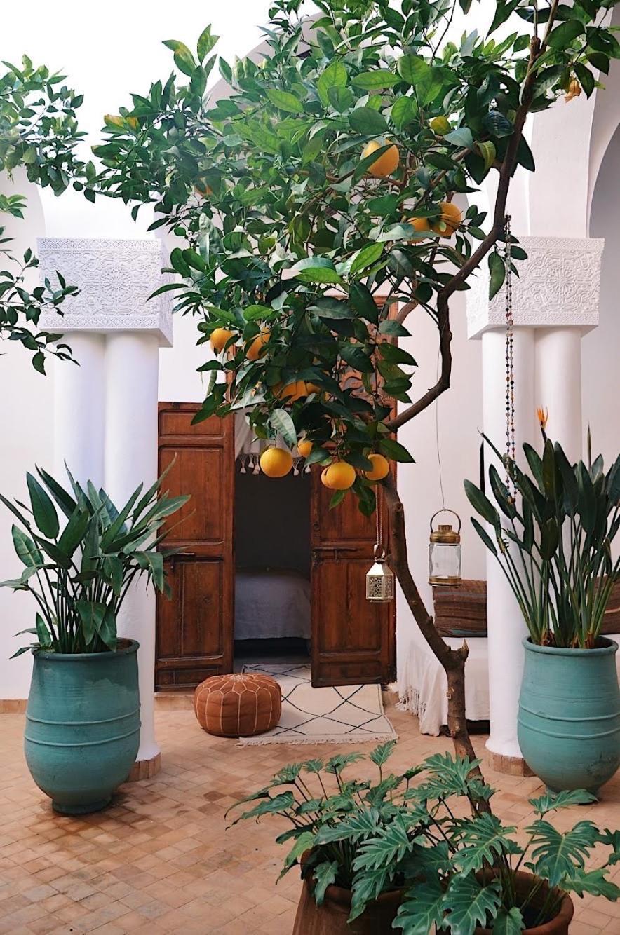 Nosade Venue Bed & Breakfast Marrakesh Exterior photo